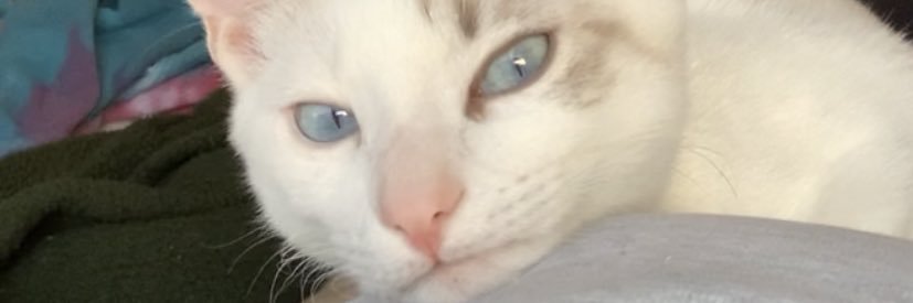 BallJordyn's profile banner image