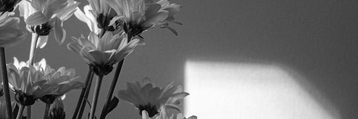 moral_alba's profile banner image
