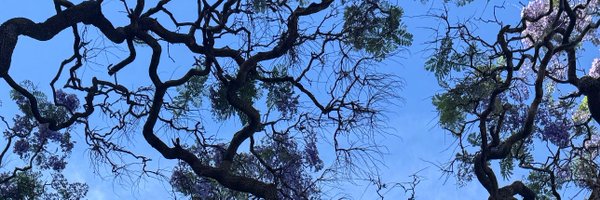 _slammah Profile Banner