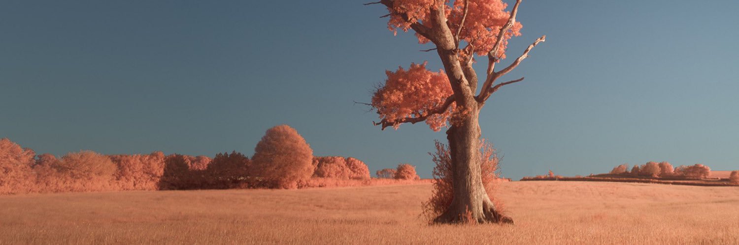 DRWAWISHERE's profile banner image