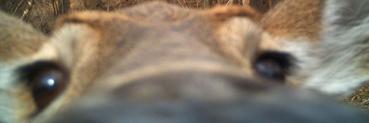 bandittts's profile banner image