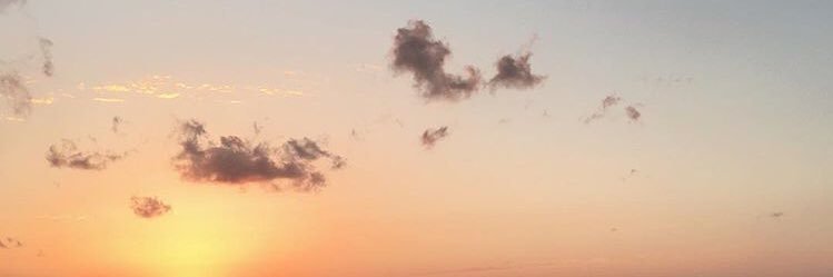 soweirdrew's profile banner image