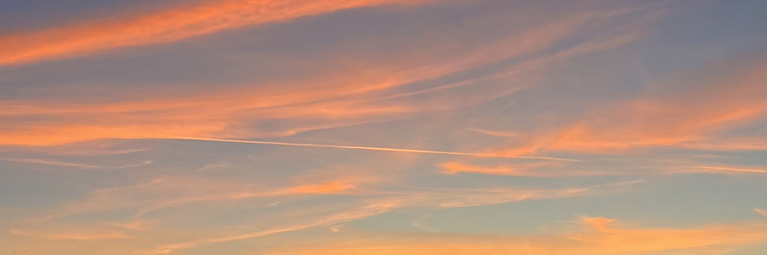 skylarains's profile banner image