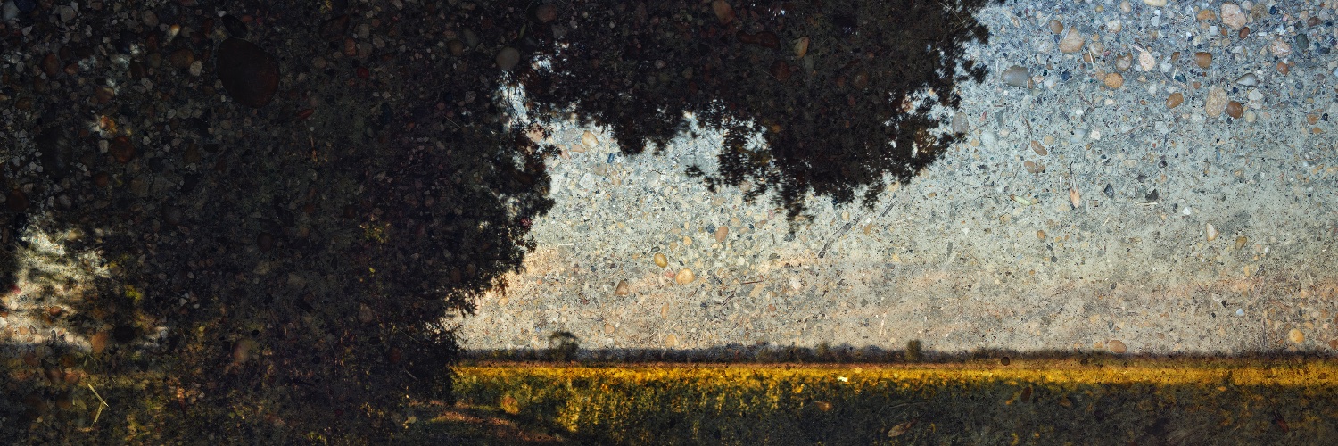 Abelardo Morell banner