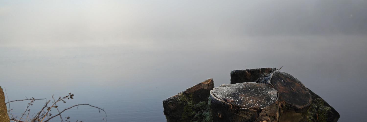 lj_wells's profile banner image