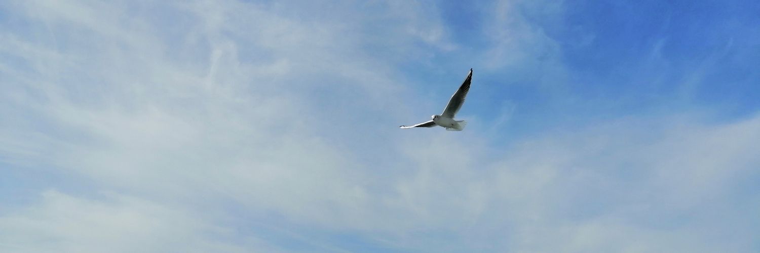 InciTolga's profile banner image
