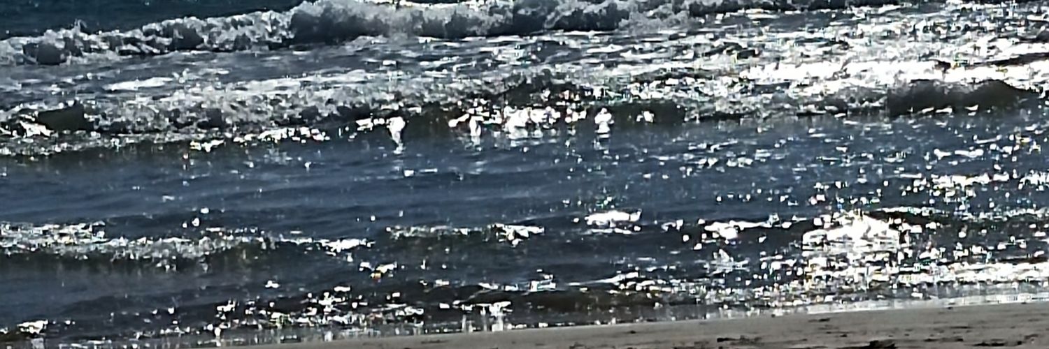 Nieves @Nivibe banner