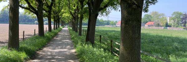 ullrich001 Profile Banner