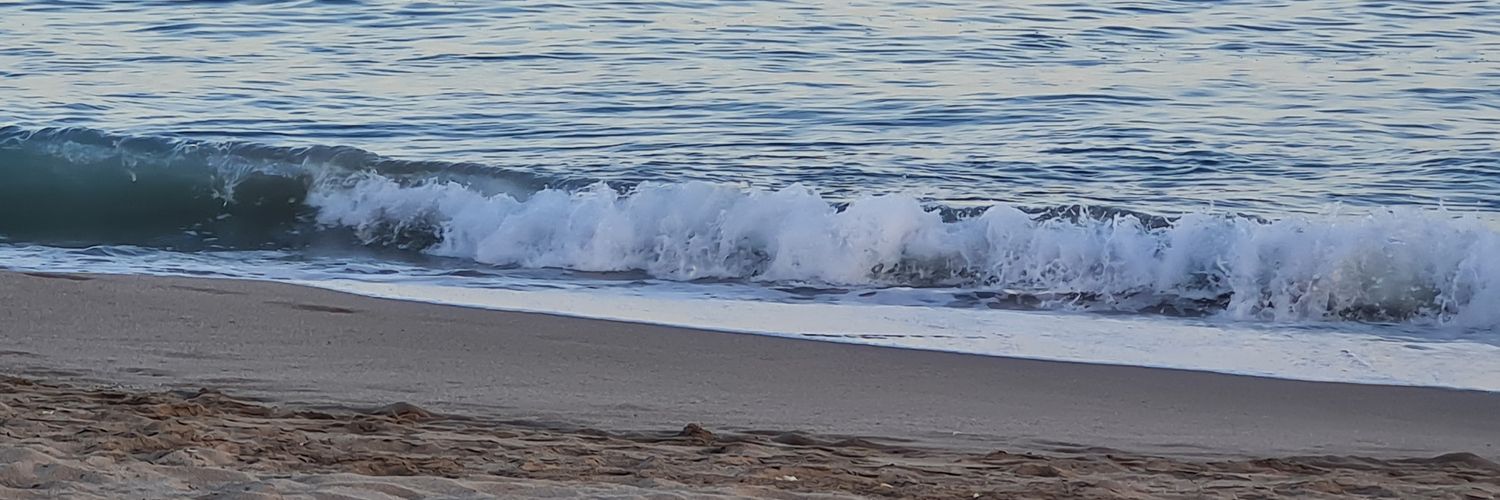 SSchwarzwalder's profile banner image