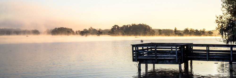 Leon County, FL banner