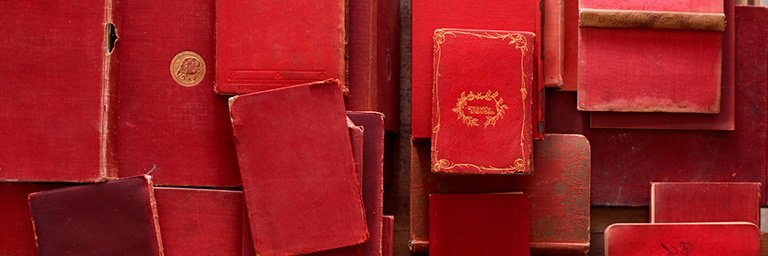 Amparo Marroquín Parducci banner