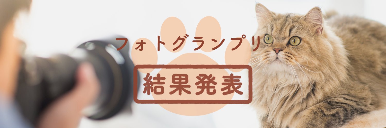 PeteaOfficial's profile banner image