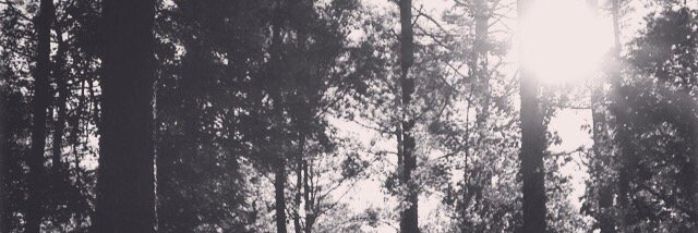 daniellemarek's profile banner image
