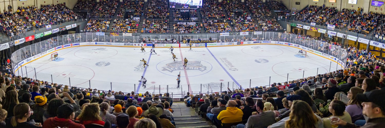 Knoxville Ice Bears banner