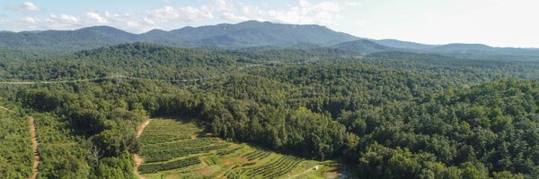 UpstateForever Profile Banner