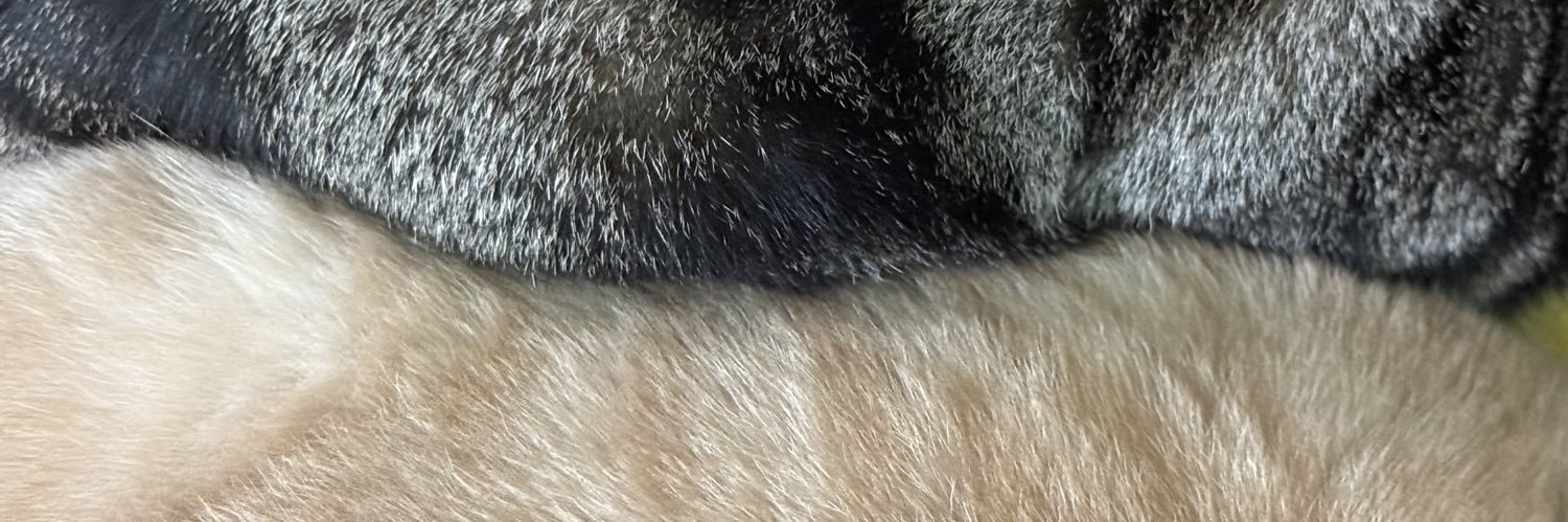 Alfredlam00's profile banner image