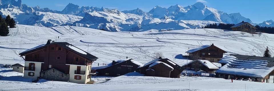 ChristineRat's profile banner image