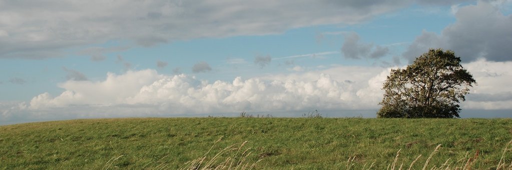 holgermadsen's profile banner image
