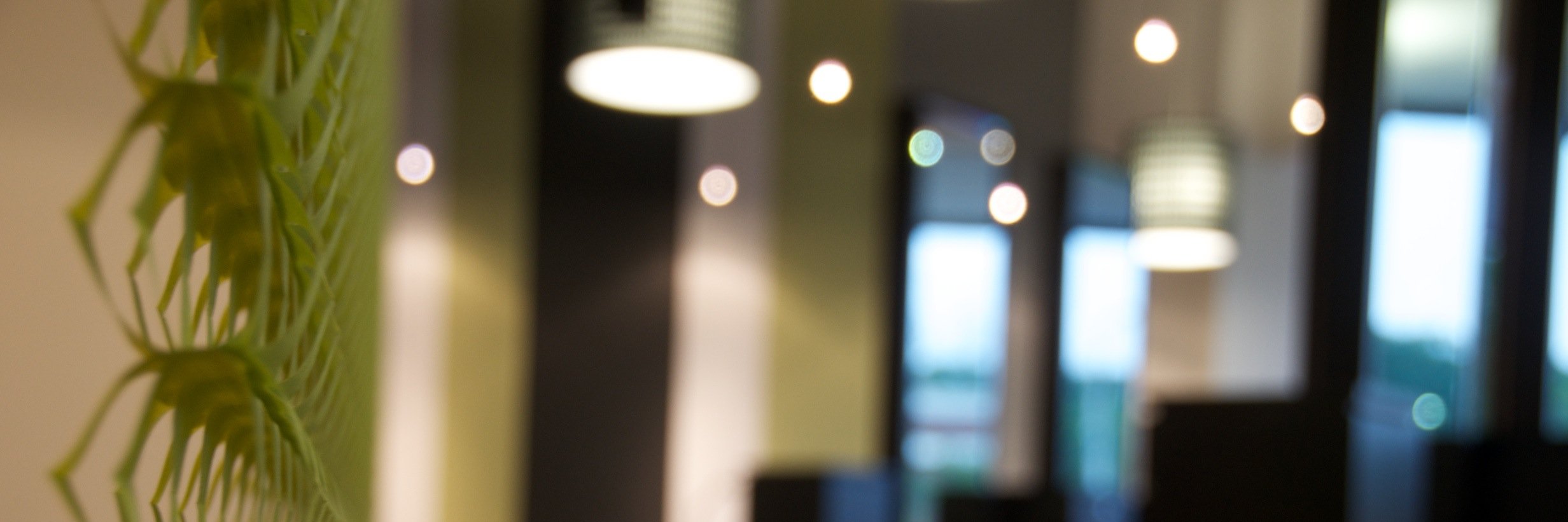 cs  s t u d i o banner
