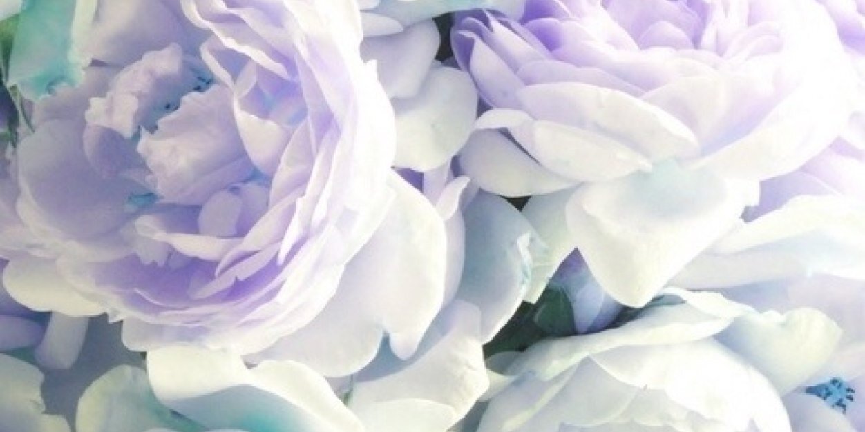Amber ♡ banner