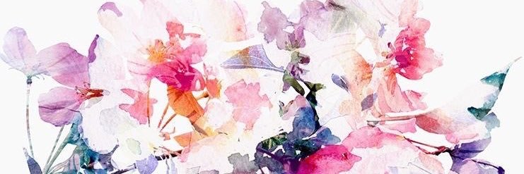 carameru_tea's profile banner image