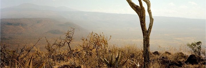 LeeAnger's profile banner image