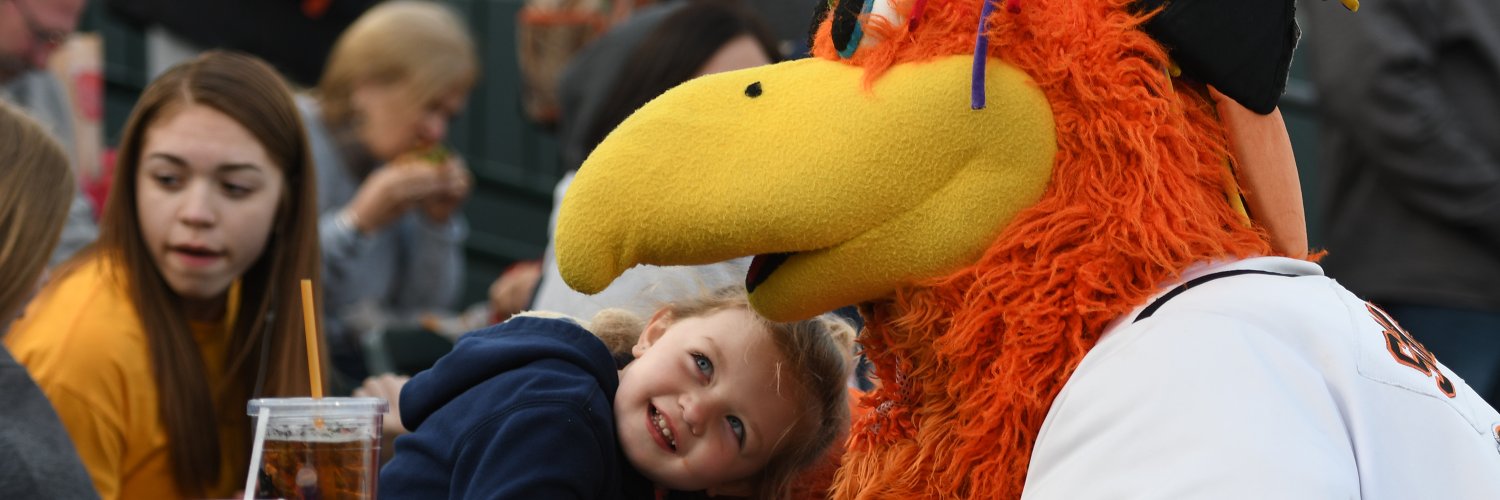 Delmarva Shorebirds's banner