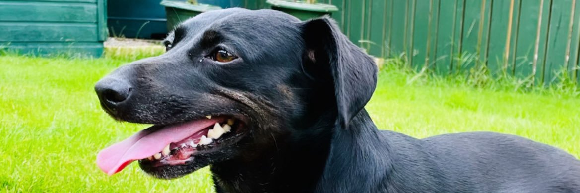 Chris 👨🏼‍💻 banner