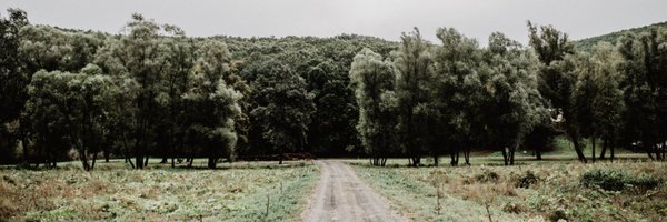 ferdinandyb Profile Banner