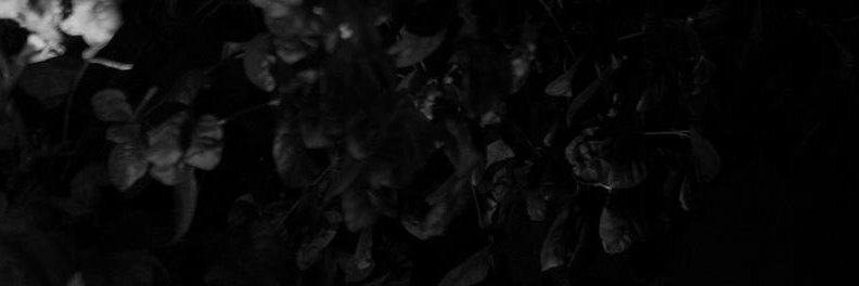 fedeabba's profile banner image