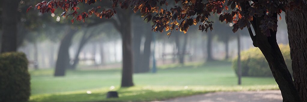 Ignacio Malmierca banner