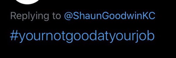 ShaunGoodwinID Profile Banner