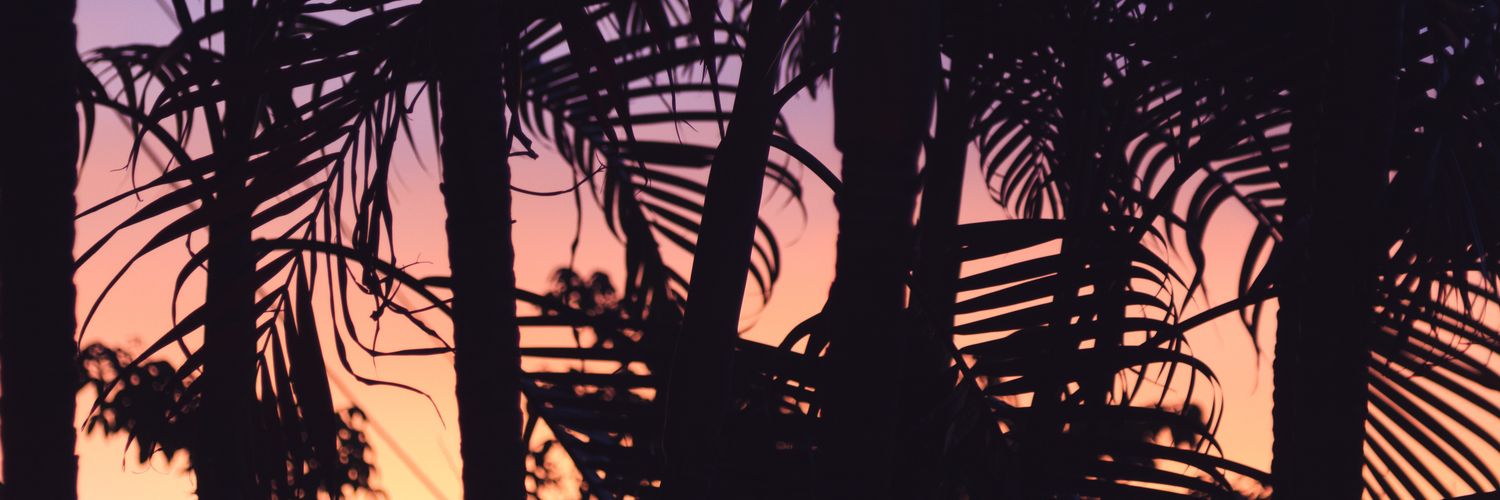 mpovoa82's profile banner image