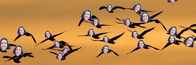 MaddieKelly4's profile banner image