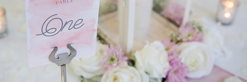 Lilyspecialeven's profile banner image