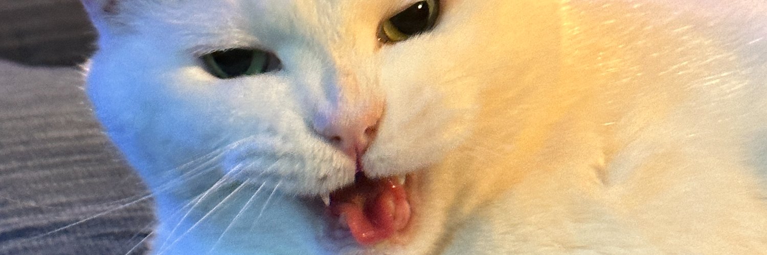 wildmoon's profile banner image