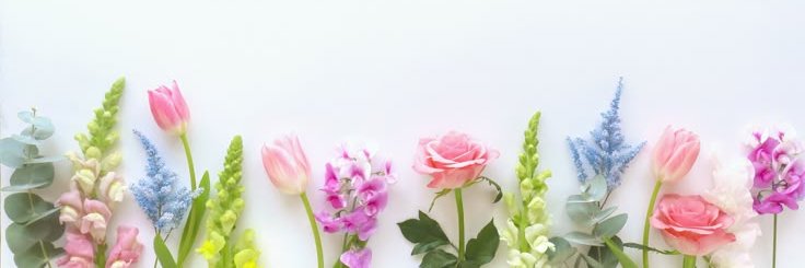 fcio__'s profile banner image