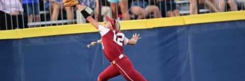 Wise Cracker banner