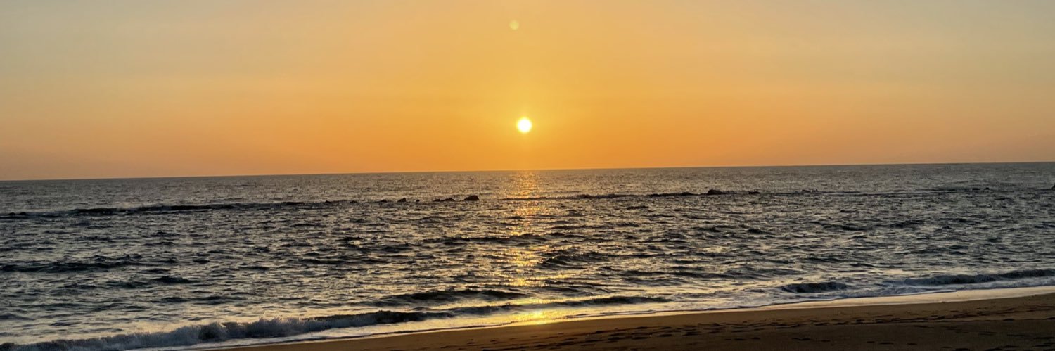 tsetsee_'s profile banner image