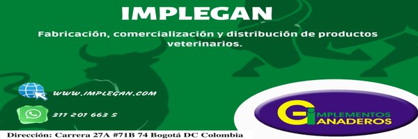 Implegan Profile Banner