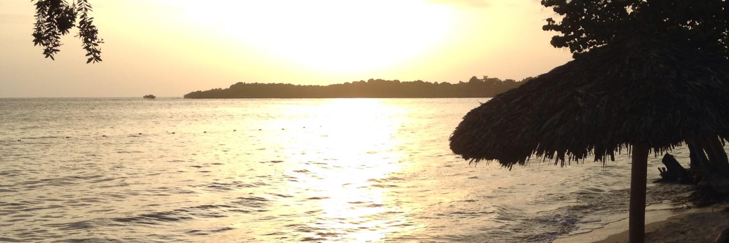 amanda668's profile banner image