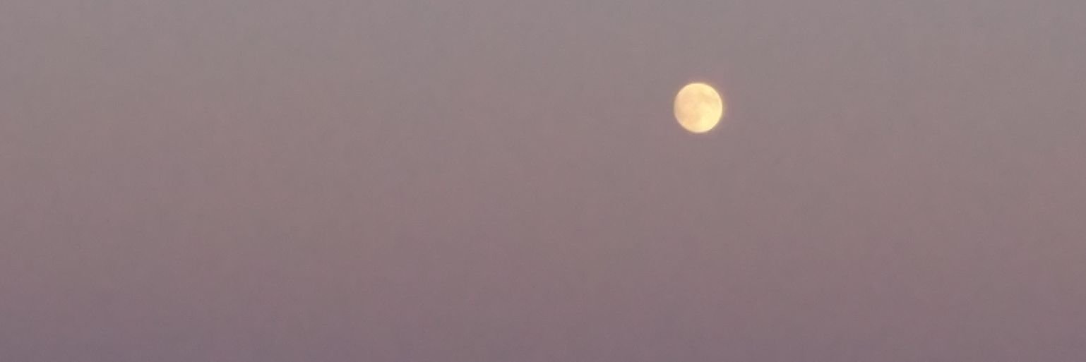 calixtren's profile banner image