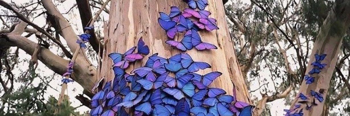 AmandaAriel888's profile banner image