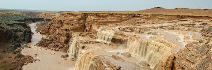 Eileen Mueller banner