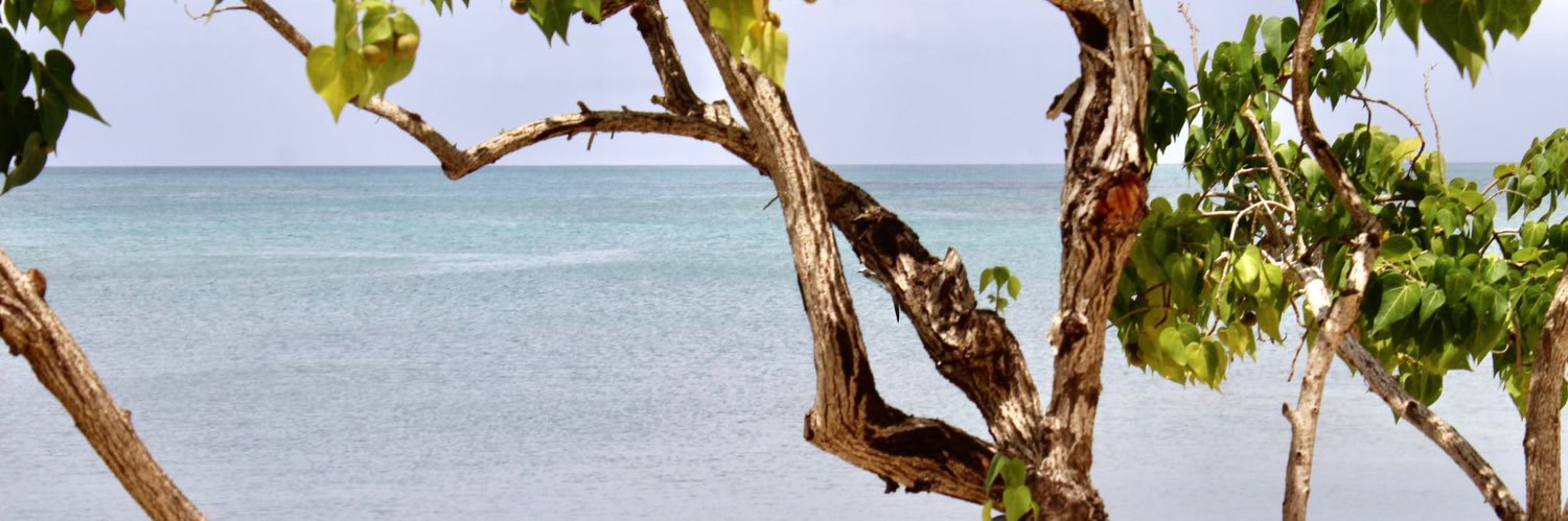 dcvh's profile banner image