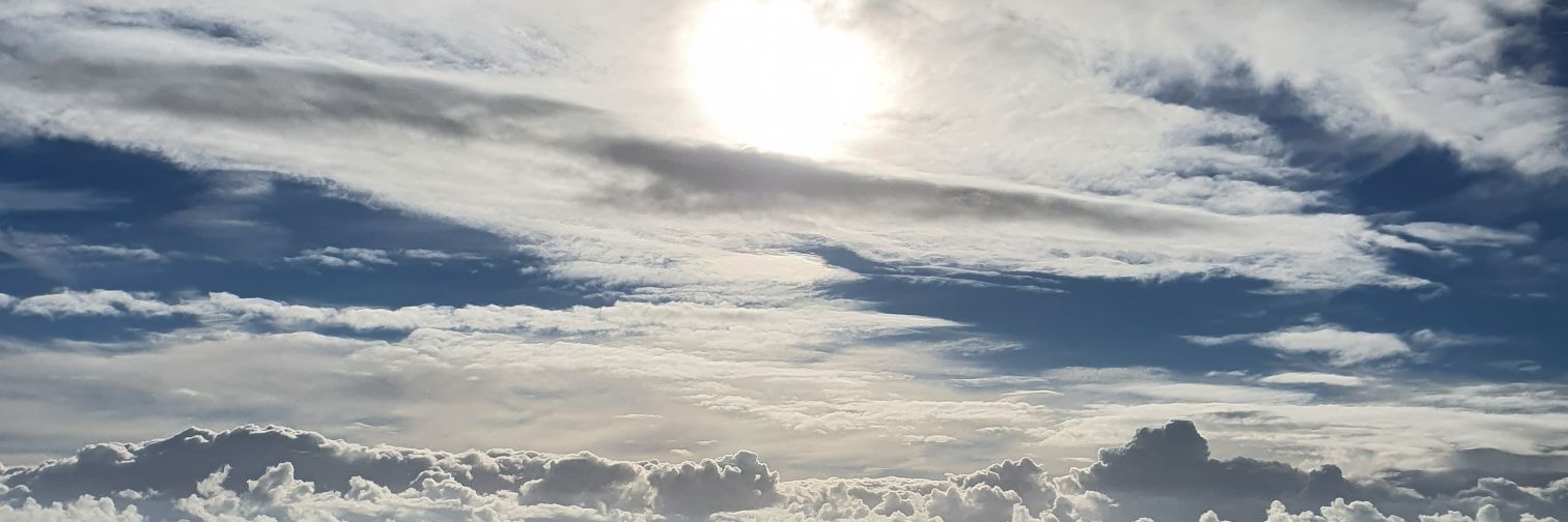 Malcolm Nicholson banner