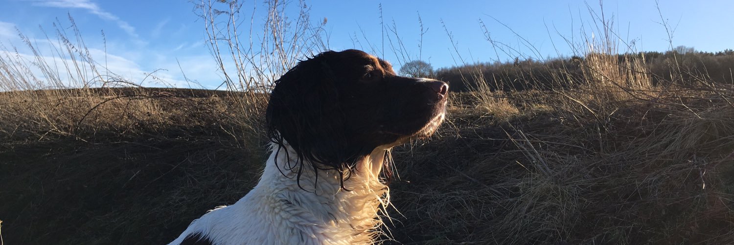 robboroyston's profile banner image