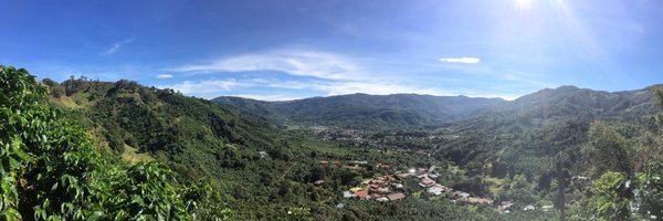 gabbygarciaphd Profile Banner