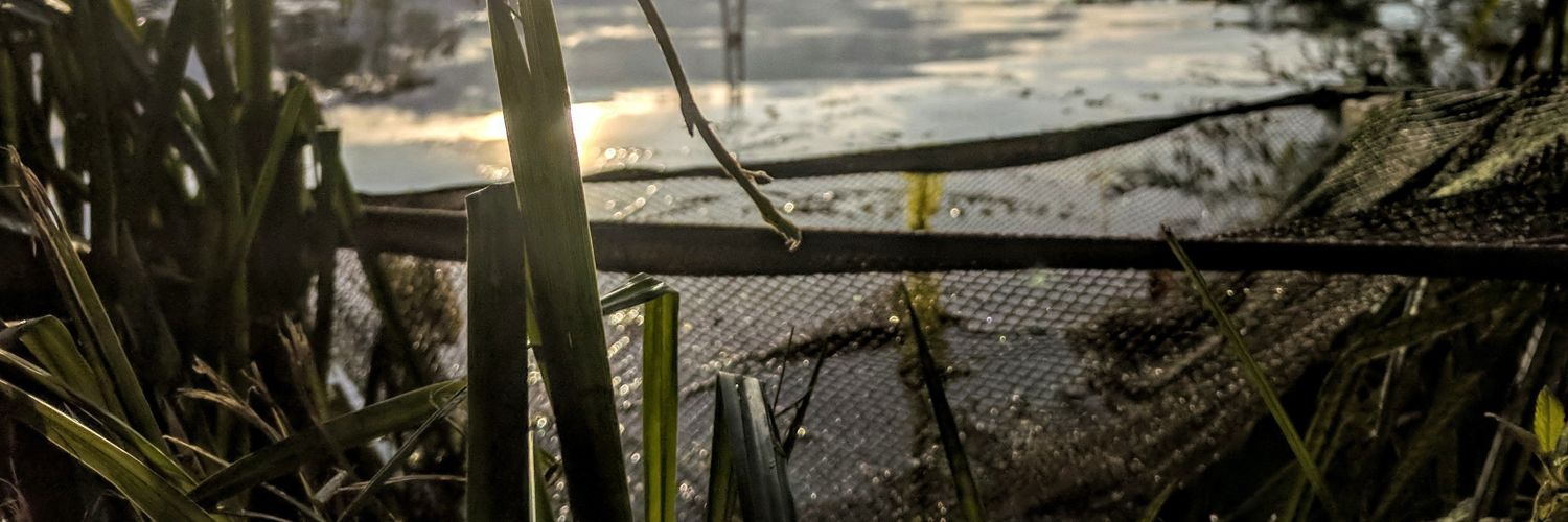 Charlie_Snook's profile banner image