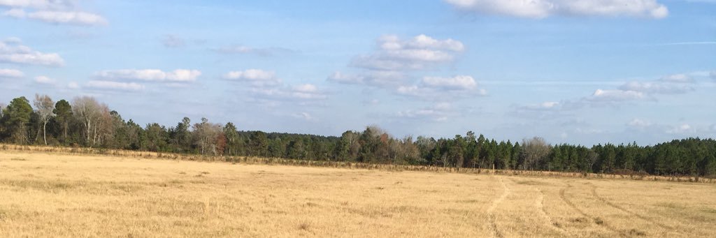 DareWhitley's profile banner image
